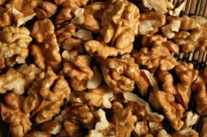 nueces 1