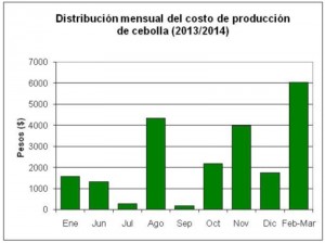 costo 8